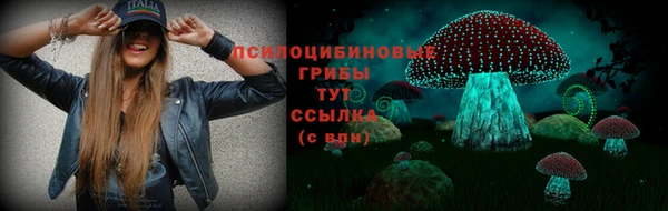 МДМА Никольск