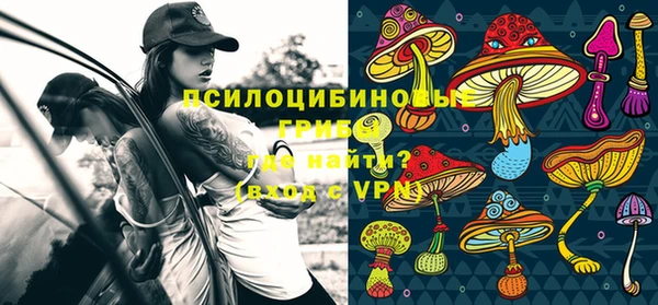 амф Новодвинск