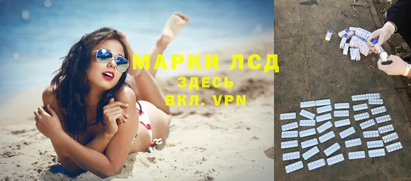 спиды Новозыбков