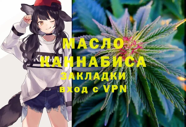 амф Новодвинск