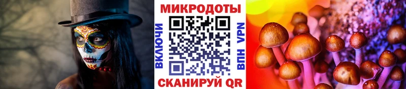 МЕГА tor Ревда Псилоцибиновые грибы Cubensis