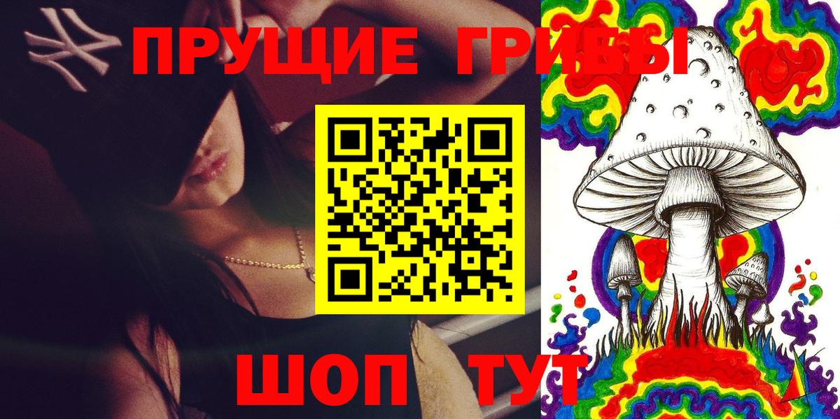 Псилоцибиновые грибы Psilocybine cubensis  Вход с VPN  Псилоцибиновые грибы прущие грибы  Ревда 